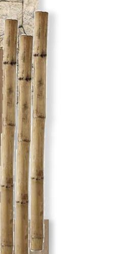 Bamboo sample